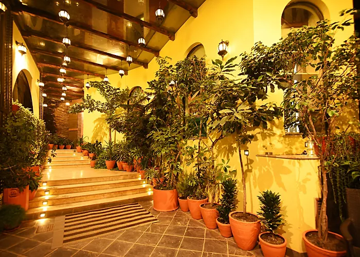 Hotel Woodapple And 3*